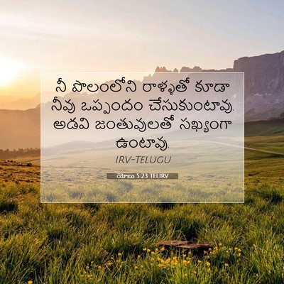 Picture 07 - యోబు 5:23 TELIRV - నీ పొలంలోని - Bible Verse Picture