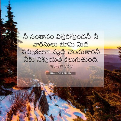 Picture 07 - యోబు 5:25 TELIRV - నీ సంతానం - Bible Verse Picture