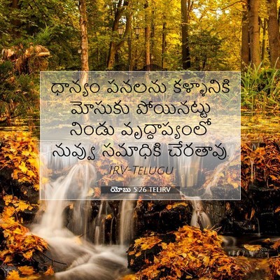 Picture 07 - యోబు 5:26 TELIRV - ధాన్యం పనలను - Bible Verse Picture