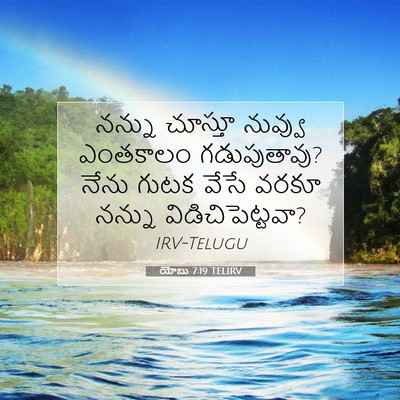 Picture 07 - యోబు 7:19 TELIRV - నన్ను చూస్తూ - Bible Verse Picture