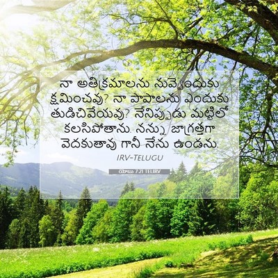 Picture 07 - యోబు 7:21 TELIRV - నా అతిక్రమాలను - Bible Verse Picture