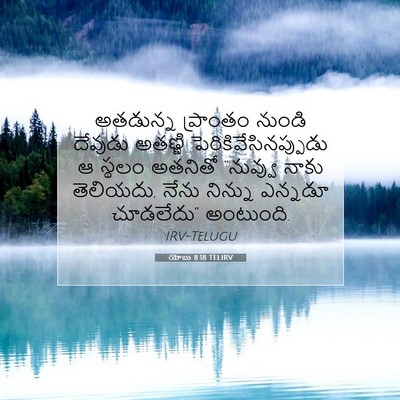 Picture 07 - యోబు 8:18 TELIRV - అతడున్న ప్రాంతం - Bible Verse Picture