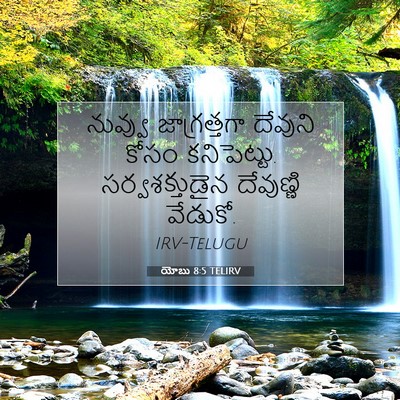Picture 07 - యోబు 8:5 TELIRV - నువ్వు జాగ్రత్తగా - Bible Verse Picture