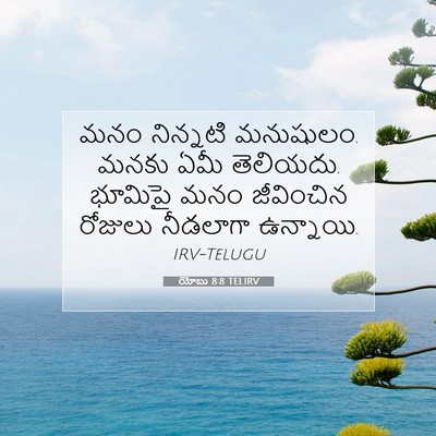 Picture 07 - యోబు 8:8 TELIRV - మనం నిన్నటి - Bible Verse Picture