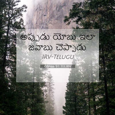 Picture 07 - యోబు 9:1 TELIRV - అప్పుడు యోబు ఇలా - Bible Verse Picture