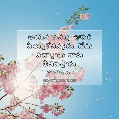 Picture 07 - యోబు 9:18 TELIRV - ఆయన నన్ను ఊపిరి - Bible Verse Picture