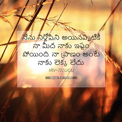 Picture 07 - యోబు 9:21 TELIRV - నేను నిర్దోషిని - Bible Verse Picture