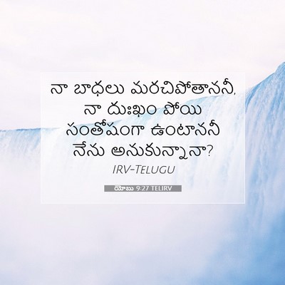 Picture 07 - యోబు 9:27 TELIRV - నా బాధలు - Bible Verse Picture