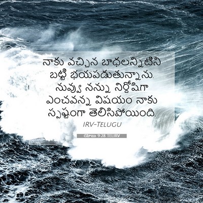 Picture 07 - యోబు 9:28 TELIRV - నాకు వచ్చిన - Bible Verse Picture
