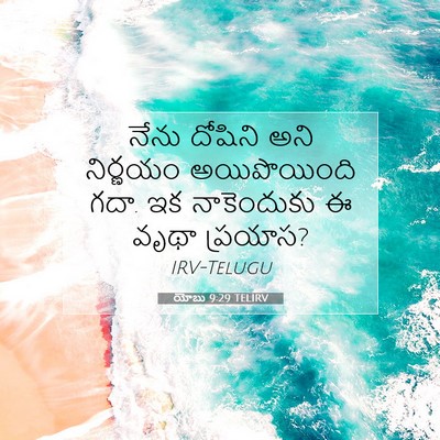 Picture 07 - యోబు 9:29 TELIRV - నేను దోషిని అని - Bible Verse Picture