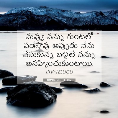 Picture 07 - యోబు 9:31 TELIRV - నువ్వు నన్ను - Bible Verse Picture