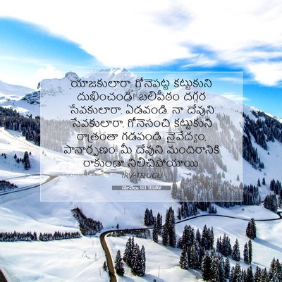 Picture 07 - యోవేలు 1:13 TELIRV - యాజకులారా, - Bible Verse Picture