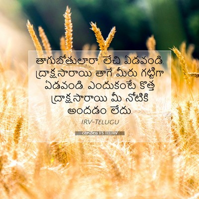 Picture 07 - యోవేలు 1:5 TELIRV - తాగుబోతులారా, - Bible Verse Picture