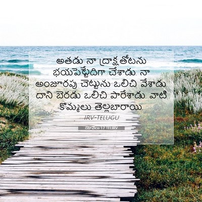 Picture 07 - యోవేలు 1:7 TELIRV - అతడు నా - Bible Verse Picture
