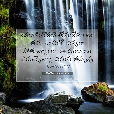 Picture 07 - యోవేలు 2:8 TELIRV - ఒకదానినొకటి - Bible Verse Picture