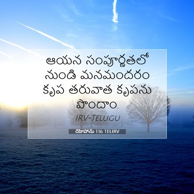 Picture 07 - యోహాను 1:16 TELIRV - ఆయన సంపూర్ణతలో - Bible Verse Picture