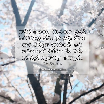 Picture 07 - యోహాను 1:23 TELIRV - దానికి అతడు, - Bible Verse Picture