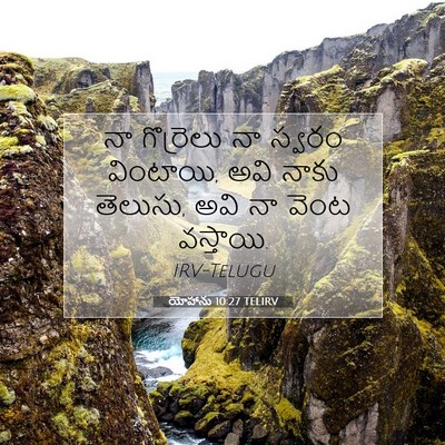 Picture 07 - యోహాను 10:27 TELIRV - నా గొర్రెలు నా - Bible Verse Picture