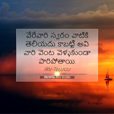 Picture 07 - యోహాను 10:5 TELIRV - వేరేవారి స్వరం - Bible Verse Picture