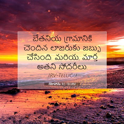 Picture 07 - యోహాను 11:1 TELIRV - బేతనియ గ్రామానికి - Bible Verse Picture
