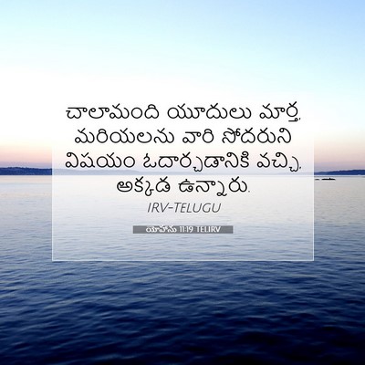 Picture 07 - యోహాను 11:19 TELIRV - చాలామంది యూదులు - Bible Verse Picture