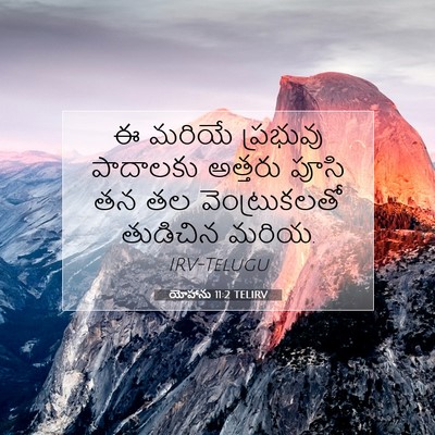 Picture 07 - యోహాను 11:2 TELIRV - ఈ మరియే ప్రభువు - Bible Verse Picture