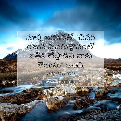 Picture 07 - యోహాను 11:24 TELIRV - మార్త ఆయనతో, - Bible Verse Picture