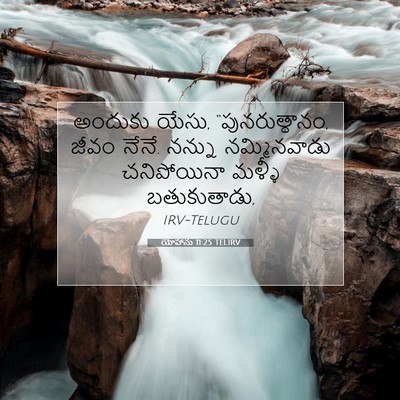 Picture 07 - యోహాను 11:25 TELIRV - అందుకు యేసు, - Bible Verse Picture