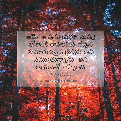 Picture 07 - యోహాను 11:27 TELIRV - ఆమె, “అవును ప్రభూ, - Bible Verse Picture