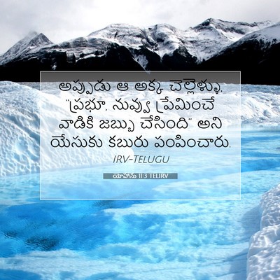 Picture 07 - యోహాను 11:3 TELIRV - అప్పుడు ఆ అక్క - Bible Verse Picture