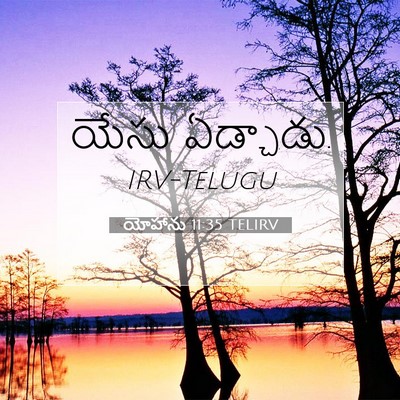 Picture 07 - యోహాను 11:35 TELIRV - యేసు - Bible Verse Picture