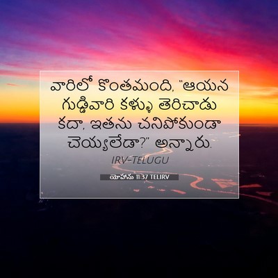 Picture 07 - యోహాను 11:37 TELIRV - వారిలో కొంతమంది, - Bible Verse Picture