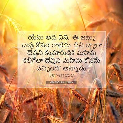Picture 07 - యోహాను 11:4 TELIRV - యేసు అది విని, “ఈ - Bible Verse Picture