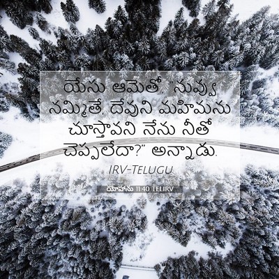 Picture 07 - యోహాను 11:40 TELIRV - యేసు ఆమెతో, - Bible Verse Picture