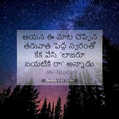 Picture 07 - యోహాను 11:43 TELIRV - ఆయన ఈ మాట చెప్పిన - Bible Verse Picture