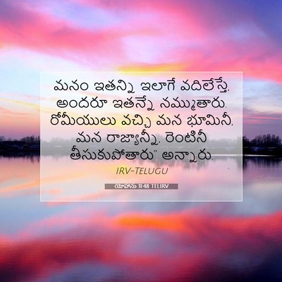 Picture 07 - యోహాను 11:48 TELIRV - మనం ఇతన్ని ఇలాగే - Bible Verse Picture