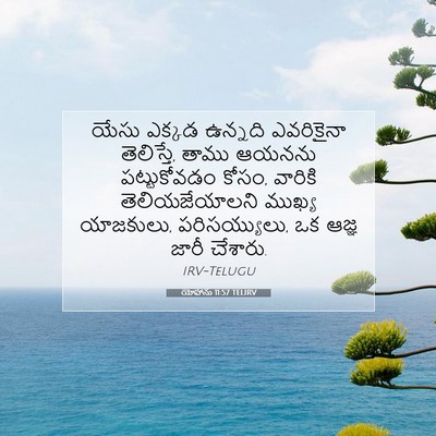 Picture 07 - యోహాను 11:57 TELIRV - యేసు ఎక్కడ ఉన్నది - Bible Verse Picture