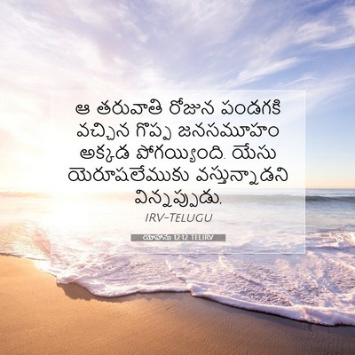Picture 07 - యోహాను 12:12 TELIRV - ఆ తరువాతి రోజున - Bible Verse Picture