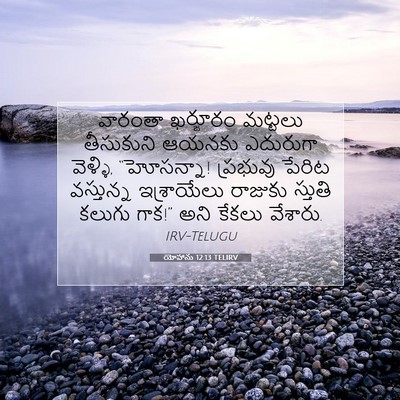 Picture 07 - యోహాను 12:13 TELIRV - వారంతా ఖర్జూరం - Bible Verse Picture