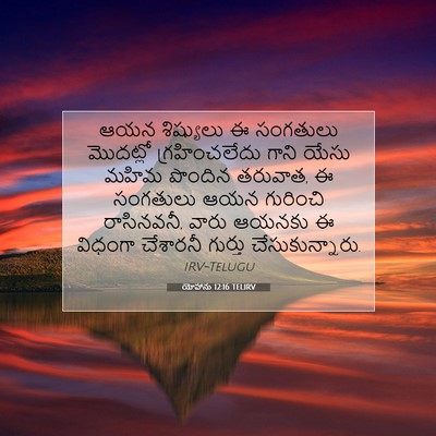 Picture 07 - యోహాను 12:16 TELIRV - ఆయన శిష్యులు ఈ - Bible Verse Picture