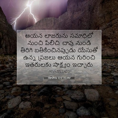 Picture 07 - యోహాను 12:17 TELIRV - ఆయన లాజరును - Bible Verse Picture