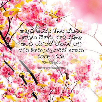 Picture 07 - యోహాను 12:2 TELIRV - అక్కడ ఆయన కోసం - Bible Verse Picture