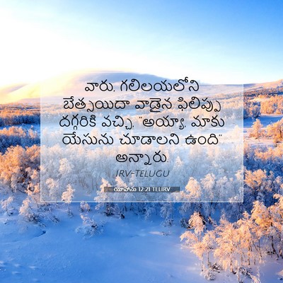 Picture 07 - యోహాను 12:21 TELIRV - వారు, గలిలయలోని - Bible Verse Picture