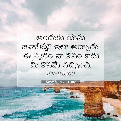 Picture 07 - యోహాను 12:30 TELIRV - అందుకు యేసు - Bible Verse Picture