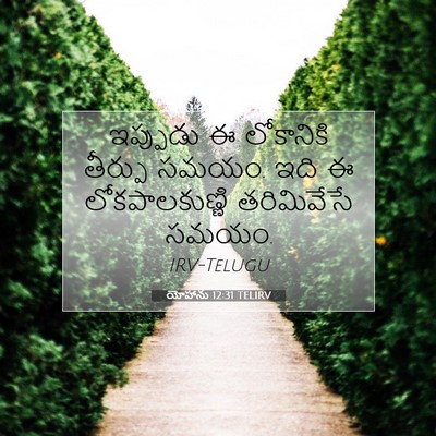 Picture 07 - యోహాను 12:31 TELIRV - ఇప్పుడు ఈ - Bible Verse Picture