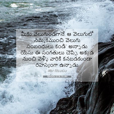 Picture 07 - యోహాను 12:36 TELIRV - మీకు - Bible Verse Picture