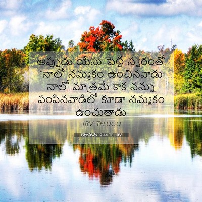 Picture 07 - యోహాను 12:44 TELIRV - అప్పుడు యేసు - Bible Verse Picture