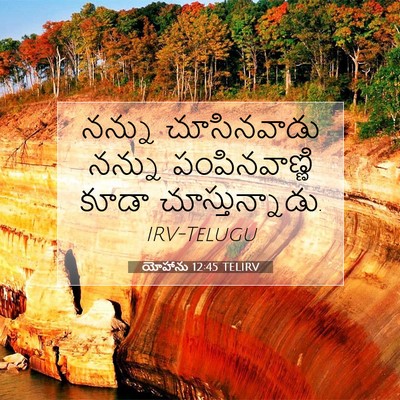 Picture 07 - యోహాను 12:45 TELIRV - నన్ను చూసినవాడు - Bible Verse Picture