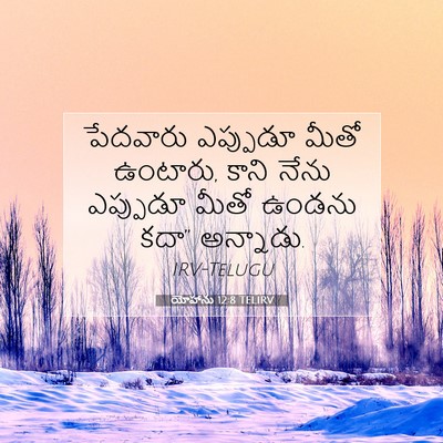 Picture 07 - యోహాను 12:8 TELIRV - పేదవారు ఎప్పుడూ - Bible Verse Picture
