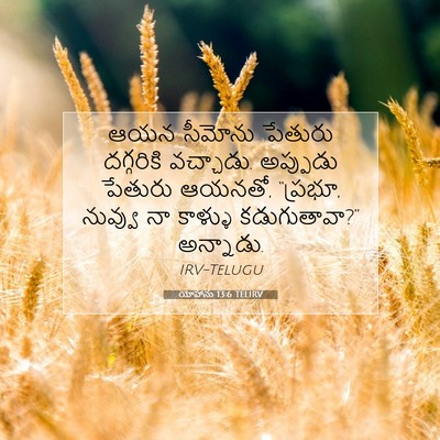 Picture 07 - యోహాను 13:6 TELIRV - ఆయన సీమోను పేతురు - Bible Verse Picture